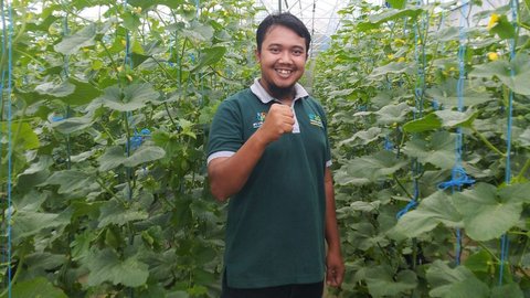 Curi Perhatian Berbagai Instansi, Ini Kisah Inspiratif Pemuda Asal Temanggung Kembangkan Pertanian Melon di Lereng Gunung Sindoro