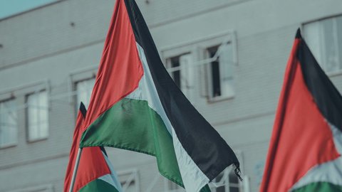 Ini Dampak yang Akan Terjadi Jika Palestina Diakui Sebagai Negara