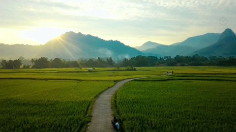 Pemandangan Desa Bantarkuning di Bogor Ini Viral di Media Sosial, Hamparan Sawah dan Gunungnya Menyejukkan Mata