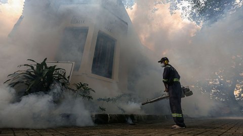 Tiga Anak Pasien DBD di Situbondo Meninggal Dunia