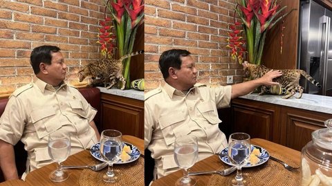 Momen Hangat Prabowo Makan Ditemani Kucing Leopard, Dielus-elus