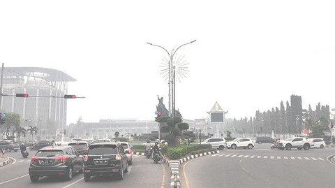 Punya Salah Satu Perpustakaan Termegah di Indonesia, Intip Fakta Menarik Kota Pekanbaru