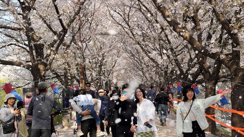 Indonesia Urutan Kedua Wisatawan Paling Banyak Berkunjung ke Korea