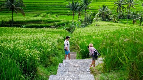 Menilik Kehidupan Petani Blitar pada Masa Jawa Kuno, Pajak Sawah Naik karena Korupsi Dinas Agraria