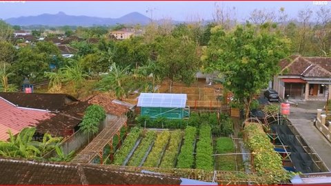 Berawal dari Sepedaan Bareng, Ibu-Ibu di Wonogiri Ini Sulap Lahan Tidur jadi Kebun Sayur