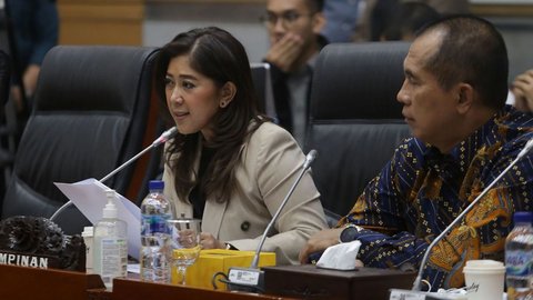 Kritik Pedas Anggota DPR ke BSSN soal Indonesia Tak Punya Cadangan Data di PDNS usai Diretas