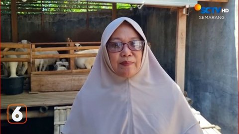 Wanita Ini Banting Setir dari Karyawan Jadi Peternak Domba, Omzet Capai Rp200 Juta Per Tiga Bulan