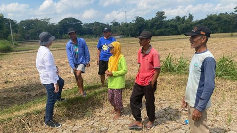 Penyebab Nilai Tukar Petani di Mei 2024 Turun