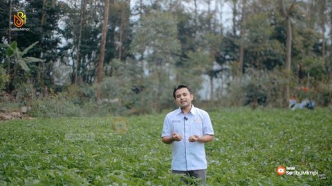 Cara Unik Pemuda Bandung Gaet Petani Milenial Modern Lewat Ciplukan