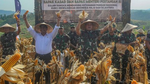 FOTO: Mesra Panen Jagung di Ciletuh, KASAD dan Mentan Bersinergi Mengubah Lahan Tidur Jadi Area Food Estate