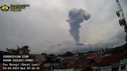 Gunung Marapi Erupsi 2 Kali Pagi Ini, Semburkan Abu Vulkanik Setinggi 400 Meter