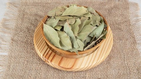 2 Tips Simpel Cara Menyimpan Daun Salam agar Tetap Hijau Hingga Satu Bulan