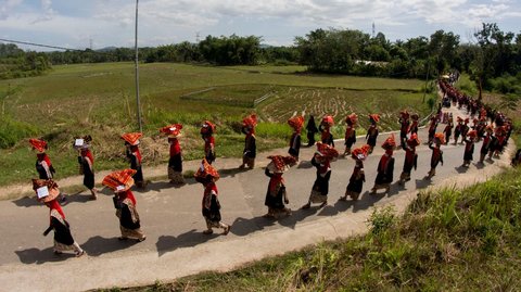 Bakaua Adat, Festival Sambut Masa Bercocok Tanam Khas Masyarakat Minangkabau