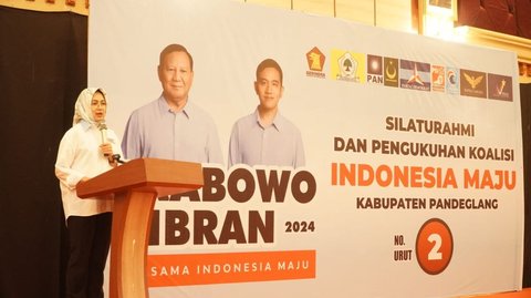 Nasib Airin: Dipromosikan Prabowo saat Pilpres, Di-PHP dalam Pilkada Banten