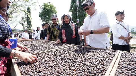 Angkat Kopi Rakyat, Banyuwangi Gelar Festival Kopi Kalibaru