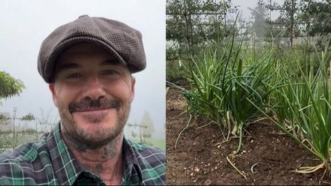 David Beckham Tampil Sederhana Beternak Ayam dan Berkebun, Kehidupan Selepas Pensiun Jadi Sorotan