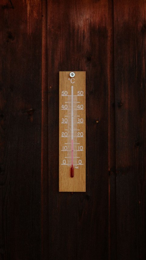 <b>Definisi Suhu dan Cara Mengukurnya</b>