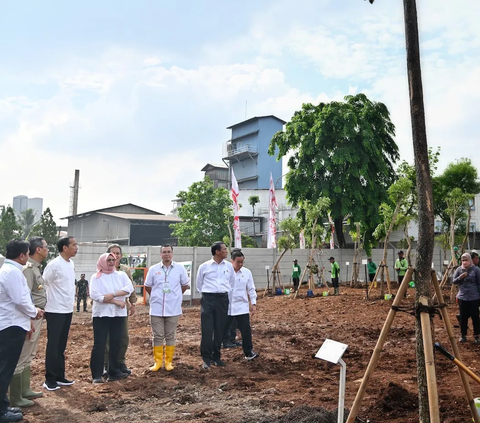 Begini Langkah Nyata Jokowi Atasi Perubahan Iklim