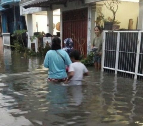 Bikin Merinding! Ular Piton Asyik Berenang di Genangan Banjir Samping Rumah Warga