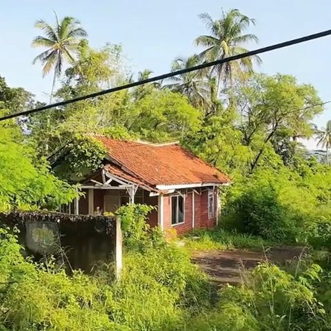 Pria Ini Temukan Rumah Terbengkalai di Tepi Jalan, Penampakannya Bikin Ngeri