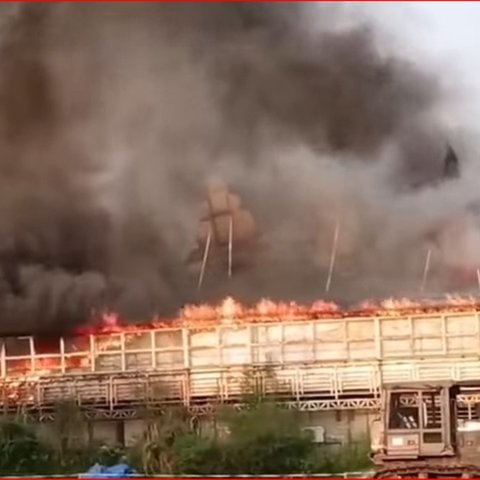 Sempat Alami Kebakaran, Ini Fakta Menarik Taman Bunga Celosia Semarang