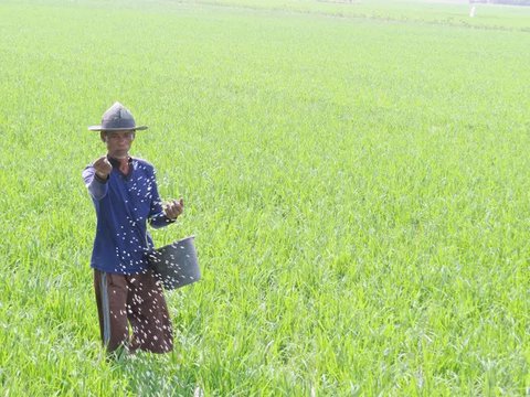 Gus Baha Tegas Sebut Petani Lebih Hebat dari Menteri Pertanian: Kontribusinya Nyata!