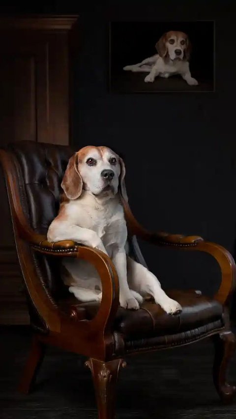 Portrait of an Arrogant Beagle by Patrick Reymer, 2018 