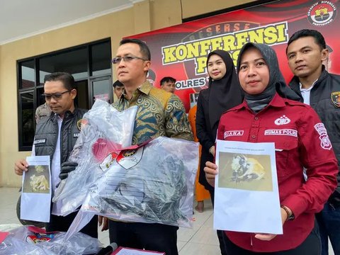 Kabur dan Berisik saat Mau Dicuri, Hewan Ini Bikin Kawanan Pencuri Ternak Ditangkap Warga