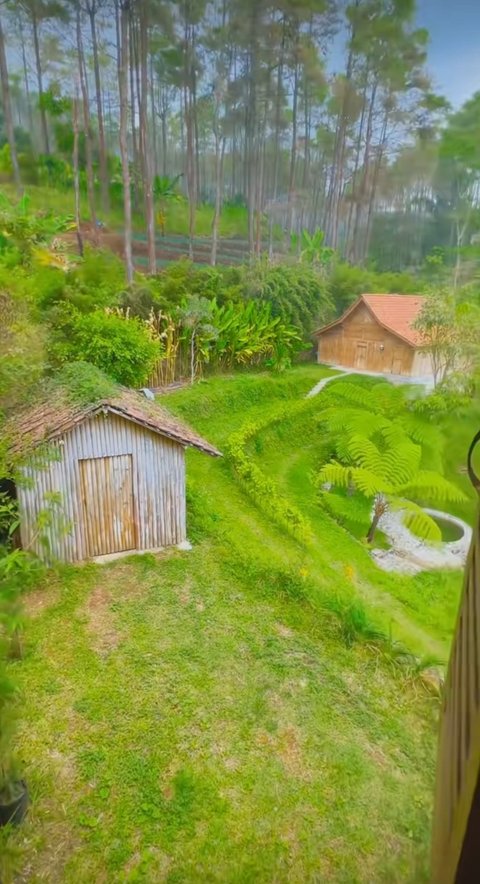 Potret Rumah Dodit Mulyanto di Tengah Hutan, Luasnya 6.000 Meter dengan Pemandangan Luar Biasa Indah