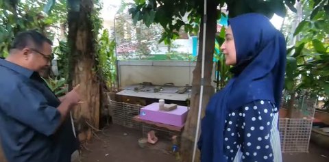 Potret Rumah Mewah Rano Karno yang Luas, di Dalamnya ada Mini Zoo Bikin Salfok