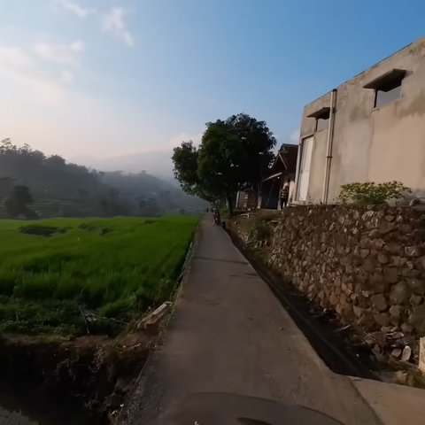 Viral Pemandangan Sawah Cisema Banjaran di Bandung, Intip Keindahannya yang Mirip Lukisan