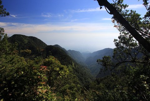 Daya Tarik Gunung Halimun, Tempat Favorit Raja Prabu Siliwangi yang Menyimpan Keindahan Mirip Surga Dunia