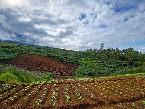 Eksotisme Desa Tulungrejo Kota Batu, Desa Terbaik di Indonesia yang Kaya Potensi Pertanian dan Super Kreatif