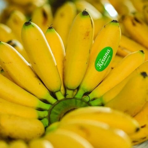 Mencicipi Pisang Mas Kirana Lumajang, Buah Favorit Warga Eropa hingga Tiongkok