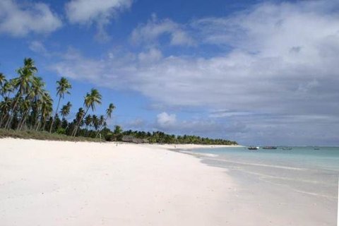 Sensasi Selancar dengan Ombak Favorit Peselancar Dunia di Pantai Nemberala Rote, Surga Tersembunyi di Ujung Selatan Indonesia