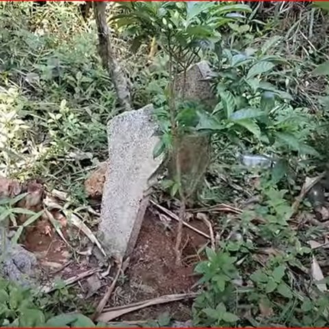 Kawasan Hutan Jati Terpencil di Semarang Ini Dulunya Tempat Pembantaian Anggota PKI, Cerita Saksi Hidup Bikin Merinding