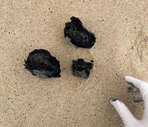 'Bola' Hitam Misterius Penuhi Pantai di Australia, Warga Heboh Kegiatan Langsung Ditutup