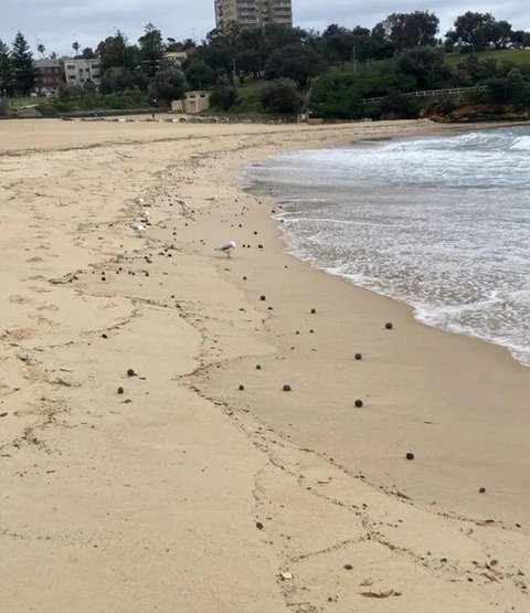 'Bola' Hitam Misterius Penuhi Pantai di Australia, Warga Heboh Kegiatan Langsung Ditutup