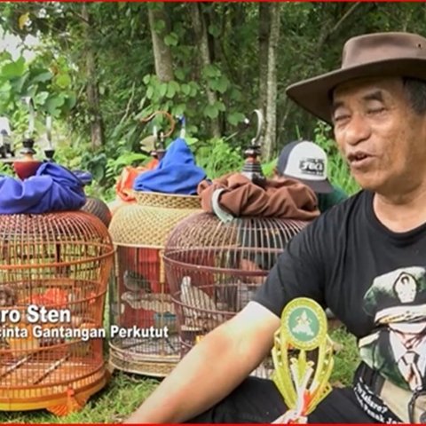 Jaga Nilai Kearifan Lokal Budaya Jawa, Begini Arti Penting Warga di Boyolali Pelihara Burung Perkutut