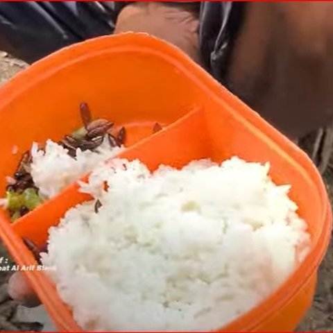 Hanya Muncul Setahun Sekali, Begini Serunya Berburu Ungker di Pelosok Hutan Jati Blora