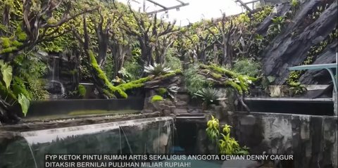 8 Potret Megahnya Paludarium Raksasa di Rumah Denny Cagur, Harganya Ditaksir Miliaran Rupiah