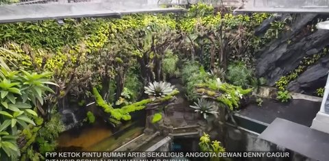 8 Potret Megahnya Paludarium Raksasa di Rumah Denny Cagur, Harganya Ditaksir Miliaran Rupiah