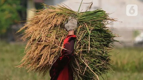 Indonesia Masuk Urutan Ketiga Negara dengan Tingkat Kelaparan Tertinggi di Asia Tenggara