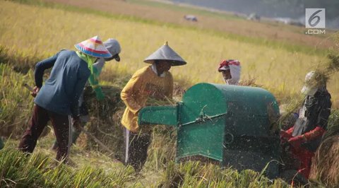 Indonesia Masuk Urutan Ketiga Negara dengan Tingkat Kelaparan Tertinggi di Asia Tenggara