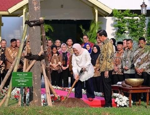 Ini Filosofi Bunga yang Ditanam Presiden Jokowi & Ibu Iriana Sebagai Kenang-Kenangan Jelang Pensiun