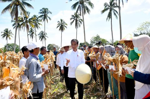 FOTO: Ragam Gaya Jokowi Ketika Bertemu Rakyat, dari Motoran hingga Main Sepak Bola