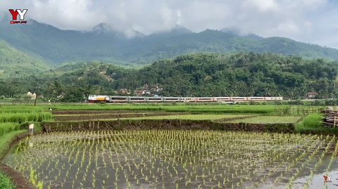 Viral di Media Sosial Tiber Kadungora Garut, Tikungan Kereta Api Terindah di Jawa Barat