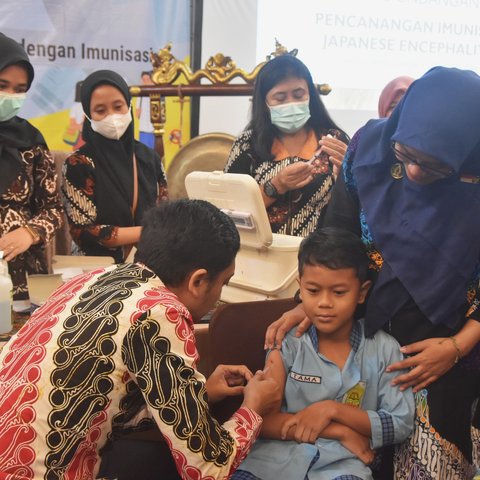 Jadi Wilayah Penyebaran Nyamuk Culex, Ini Kata Guru Besar UGM Terkait Bahaya Virus Japanese Encephalitis