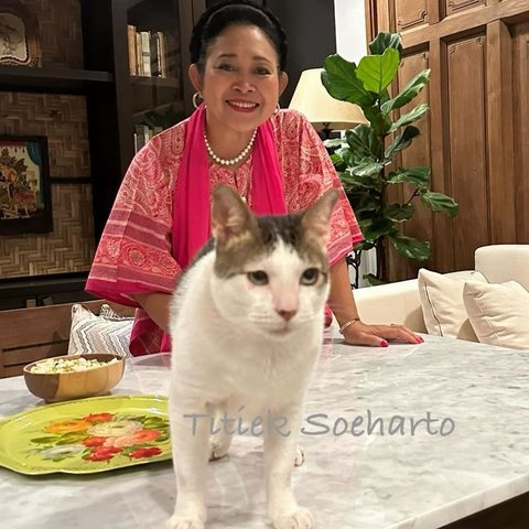 Kucing Milik Prabowo Ucapkan Selamat Bertugas ke Titiek Soeharto, Netizen Curiga Sang Bos Curhat Lewat Bobby