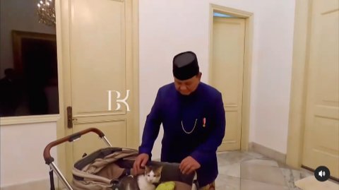 Naik Pangkat Kucing Bobby Kesayangan Presiden Prabowo, Kini Sah Jadi 'Penguasa Istana'